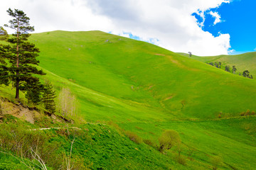 Beautiful mountain panorama with lush greens, blue skies, and puffy clouds