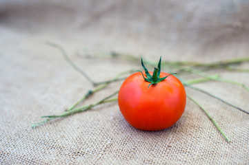 Red ripe tomato on sacking
