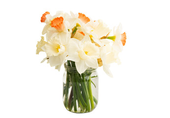 bouquet of daffodils isolated
