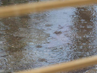 Drops falling on a waterlogged pavement