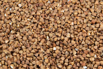 Buckwheat. fresh buckwheat. dry buckwheat background. buckwheat texture