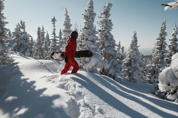Freerider snowboarder wearing red snowboard jumpsuit walking in winter snow-covered forest, fresh...