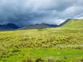 Altiplano_7
