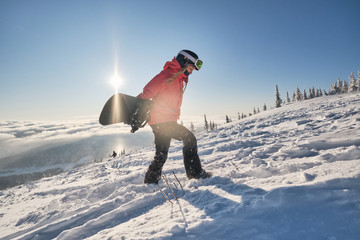 Female snowboarder holding snowboard on mountain slop, preparing to snowboarding. Sunny winter day...