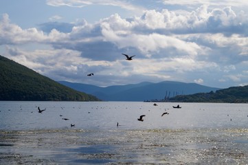 boats over water