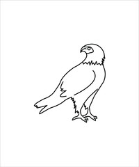eagle line icon,vector best line design icon,big bird line icon.