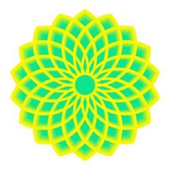 Flower of life vector design illustration
