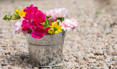 a single bucket full of flowers in nature