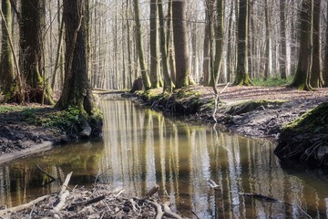 Bredenbek im Am Andern