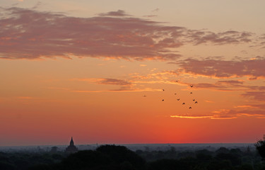 Landscape Nature of many ancient pagoda on the field in the morning with sunrise at Bagan , Mandalay , Myanmar is best famous landmark  for Historical Travel and Sightseeing in Asian