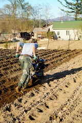 a man works in the garden