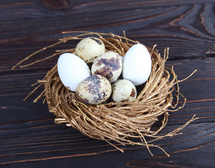 Easter background with nest and eggs on wooden background