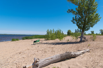 Empty sandy beach. Empty bay shore with trees and bushes on a sunny day without people.