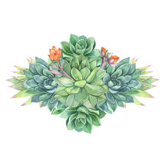 Watercolor composition with succulent plants and air plants, floral bouquet illustration isolated on white background. Natural floral illustration for design, print, fabric or background 