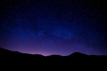 Germany, Magical moving galaxy milky way over black forest tree silhouette in dark night