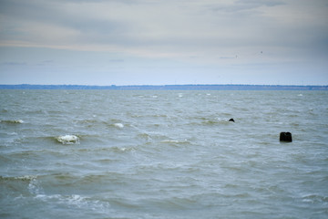 Dirty sea water, a storm in the sea.
