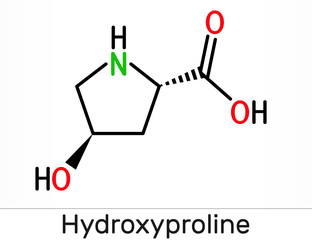 Hydroxyproline , Hyp, C5H9NO3 molecule. It is is a common proteinogenic amino acid and a major component of the protein collagen. Skeletal chemical formula