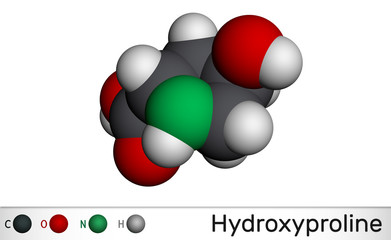 Hydroxyproline , Hyp, C5H9NO3 molecule. It is is a common proteinogenic amino acid and a major component of the protein collagen. Molecular model