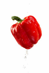 Ripe red bell pepper in droplets of water, isolate on white.