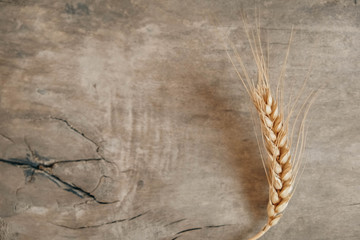 Wheat ears on wooden background. op view. Copy, empty space for text