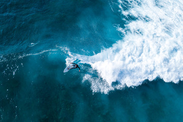 Surfer at the top of the wave - obrazy, fototapety, plakaty