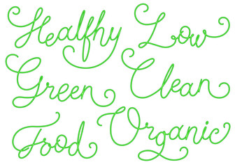 Vector set of green calligraphy Inscriptions labels for ecological organic product packing and advertising design