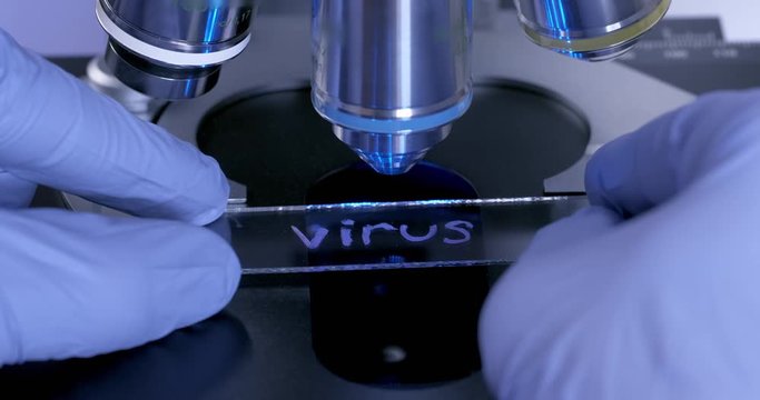 The scientist places a sample of the virus in a microscope on a glass slide and changes the lens. The study of dangerous viruses.