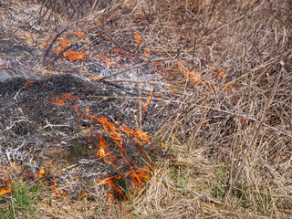 Burning dried vegetation near roadside, negligent people setting up the fire on agricultural fields.