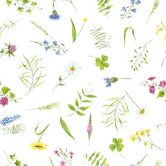 watercolor summer pattern wildflowers, plant, leaves. Meadowflowers