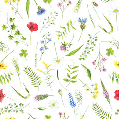 watercolor seamless pattern wildfowers,  summer flowers, meadow