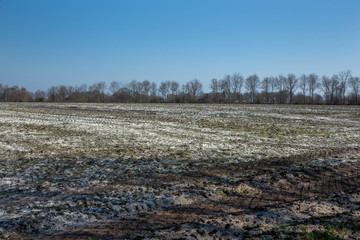 Field with white Chalk. Fertilizer. Farming. Onna Steenwijk Netherlands. Agriculture. Spring