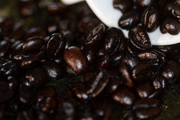 coffee beans in a cup