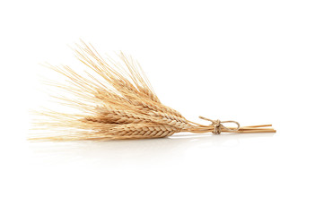 Bunch of wheat ears tied with a string, isolated on a white background