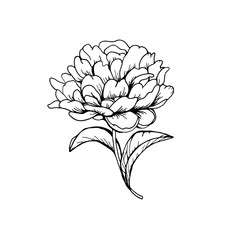 Romantic vintage vector illustration with flower.