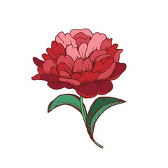 Romantic vintage vector illustration with flower.