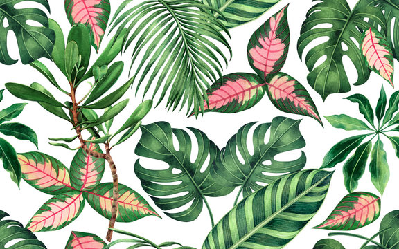 Watercolor painting colorful tropical palm leaf,green leave seamless pattern background.Watercolor hand drawn illustration tropical exotic leaf prints for wallpaper,textile Hawaii aloha jungle style..