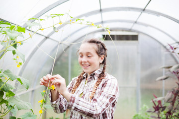  teenage girl in   greenhouse with cucumbers