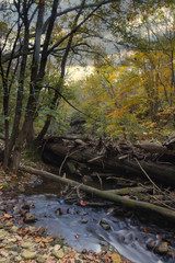Sunset long exposure of a downed tree with flowing water.