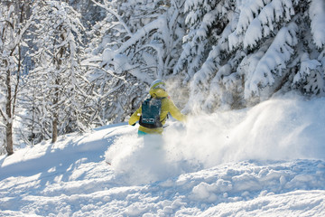 A snowboarder making a powder turn in deep snow on a forest meadow on a sunny morning