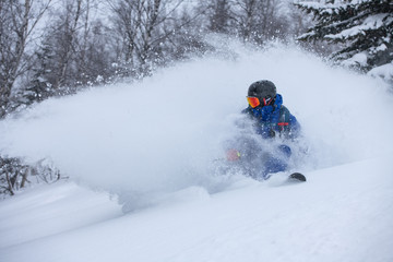 Fototapeta na wymiar A skier making a powder turn in deep snow on a forest meadow on a snovy morning