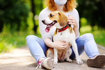 Young beautiful woman wearing disposable medical face mask with Beagle dog in the park during...