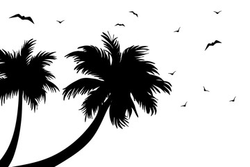 Vector silhouette of palm tree with flying birds on white background. Symbol of nature.