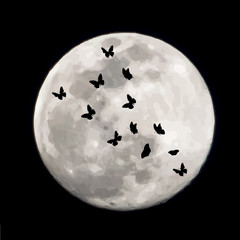 Vector silhouette of butterflies on moon background. Symbol of night.