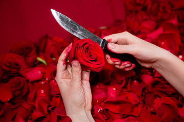 Close-up of hands in blood holding a knife and a rose bud, against a background of roses and petals.