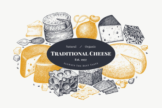 Cheese design template. Hand drawn vector dairy illustration. Engraved style different cheese kinds banner. Vintage food background.