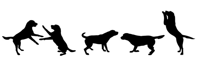 Collection of vector silhouette of dog on white background. Symbol of animal.