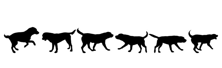 Collection of vector silhouette of dog on white background. Symbol of animal.