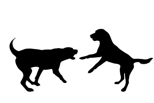 Vector silhouette of dog on white background. Symbol of animal.