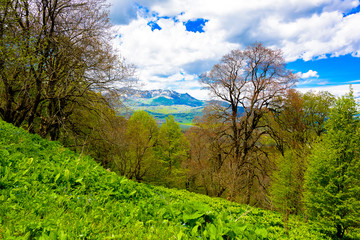 Beautiful mountain panorama with lush greens, blue skies, and puffy clouds