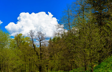 Beautiful mountain panorama with lush greens, blue skies, and puffy clouds